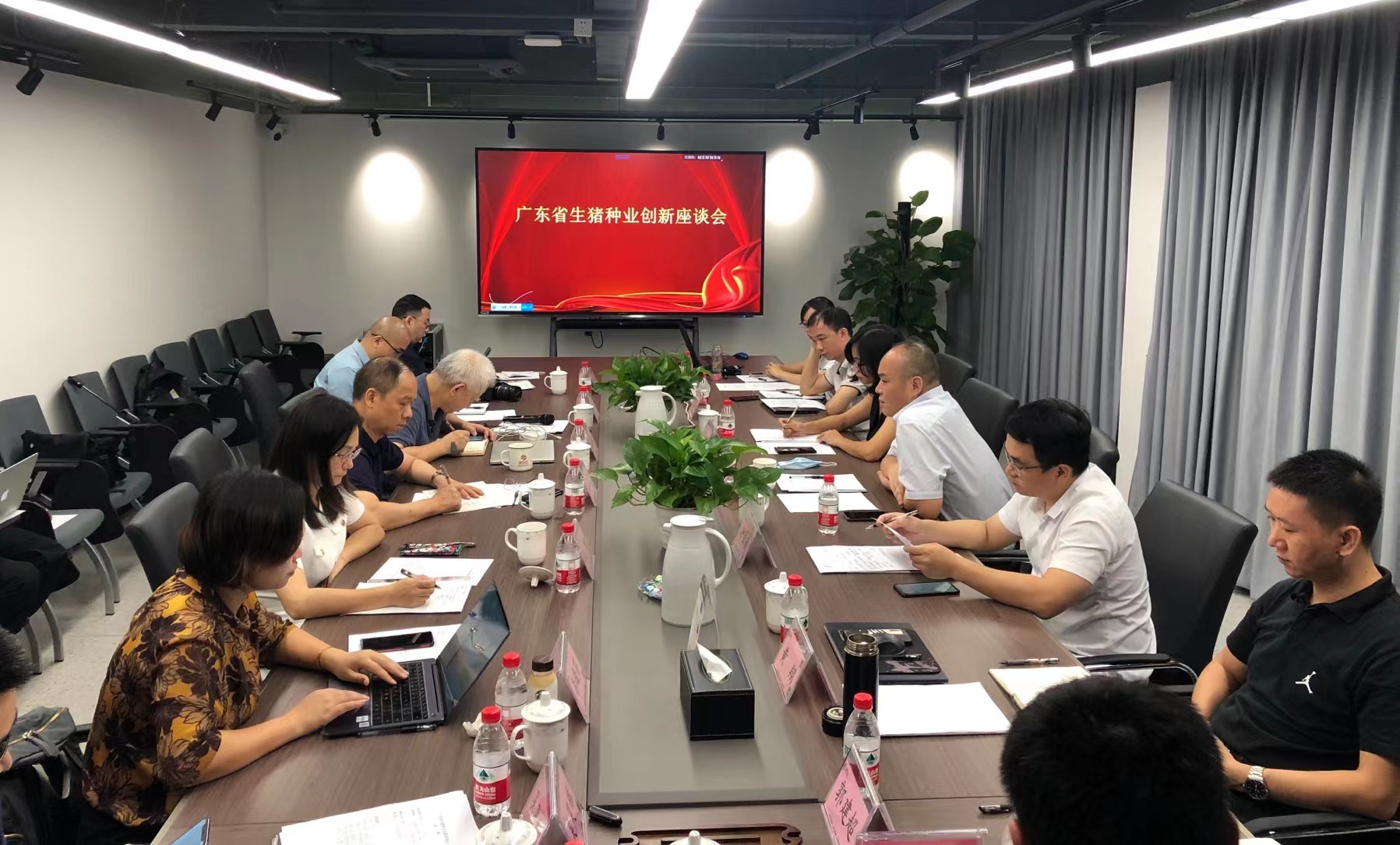 广东省生猪种业创新座谈会现场