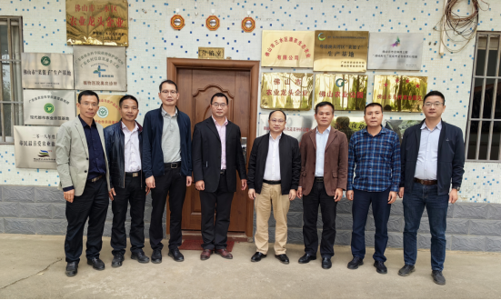  水稻产业园签约落地，郁南县平台镇、三水区大塘镇两地村企共建结出硕果