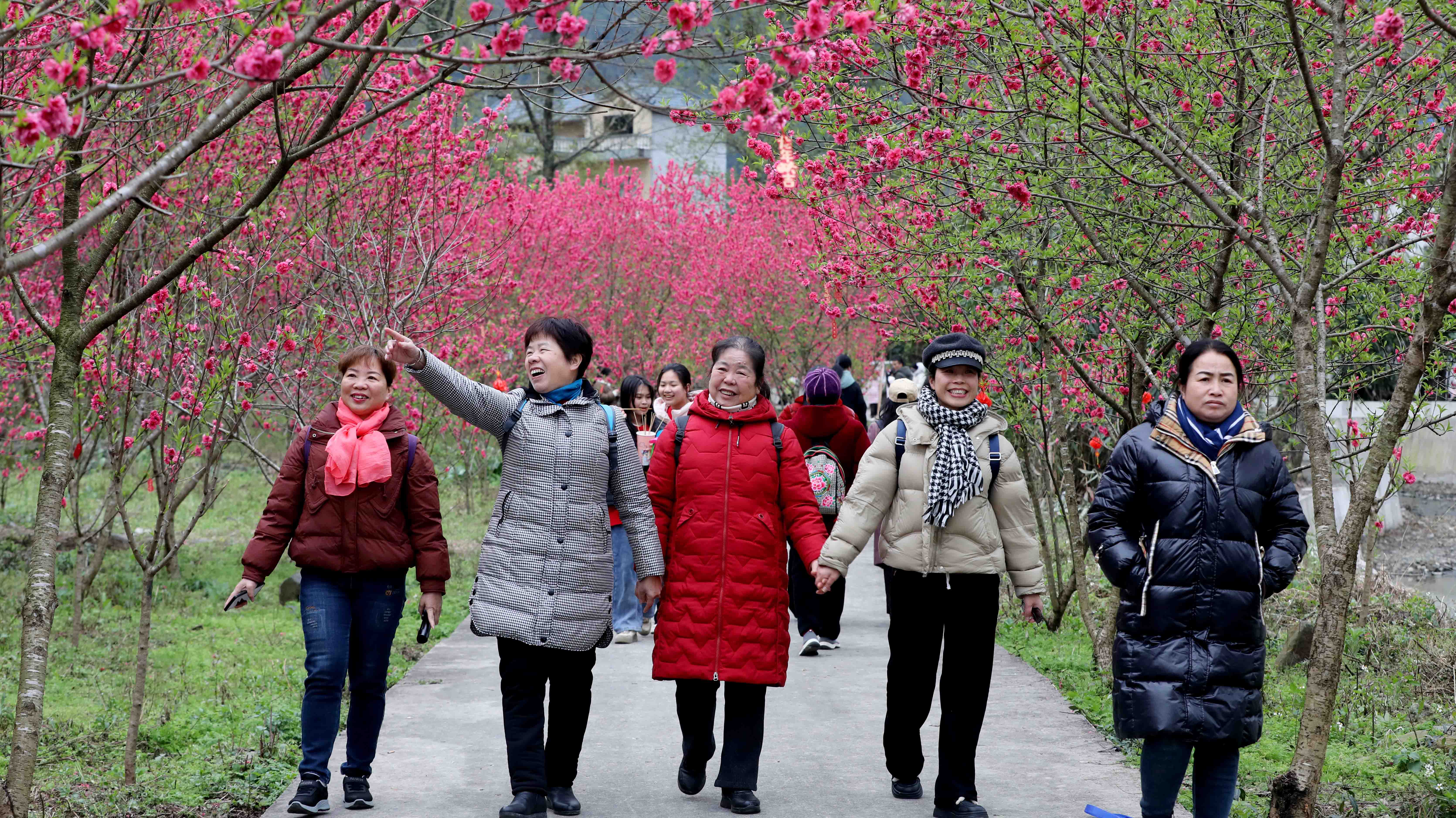 资兴白廊桃花节图片