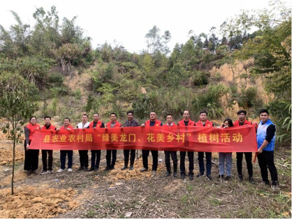 打造“绿美龙门·花美乡村”，麻榨镇驻镇帮扶工作队开展植树清淤行动