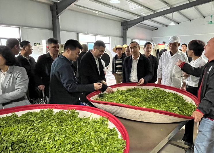 【诸事顺利】国人过年花了1万亿，都花哪了？