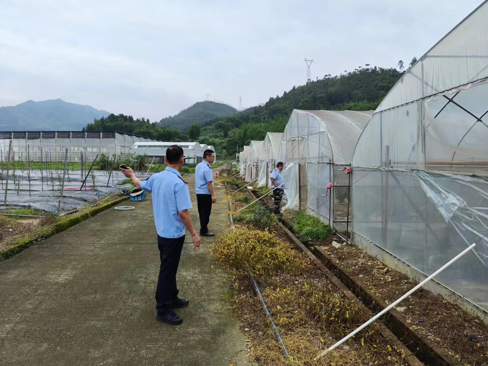 织好雨灾防御网！新丰农业农村局多措并举全力防汛减灾