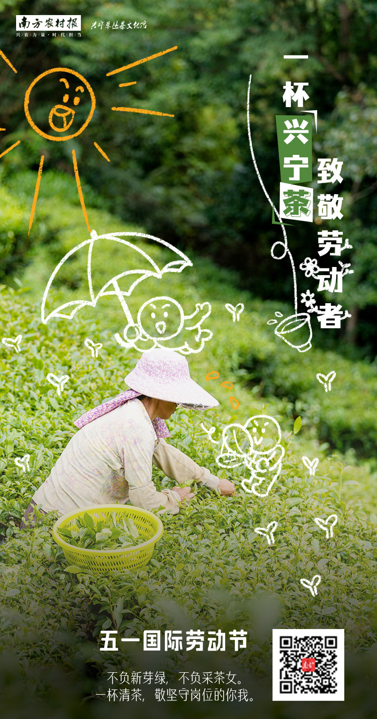 金银岛:溶剂油价格略有上涨 整体出货平淡