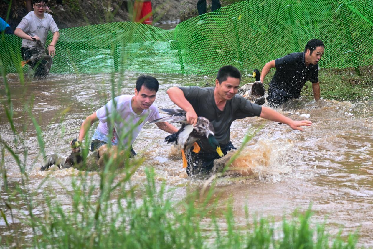 个人住房公积金贷款利率，明起下调！