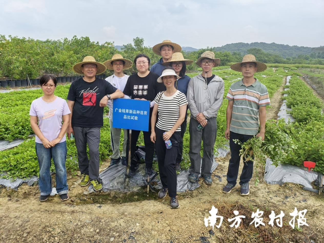  广东药科大学国家中药材产业技术体系科研团队赴省内多个南药种植基地调研