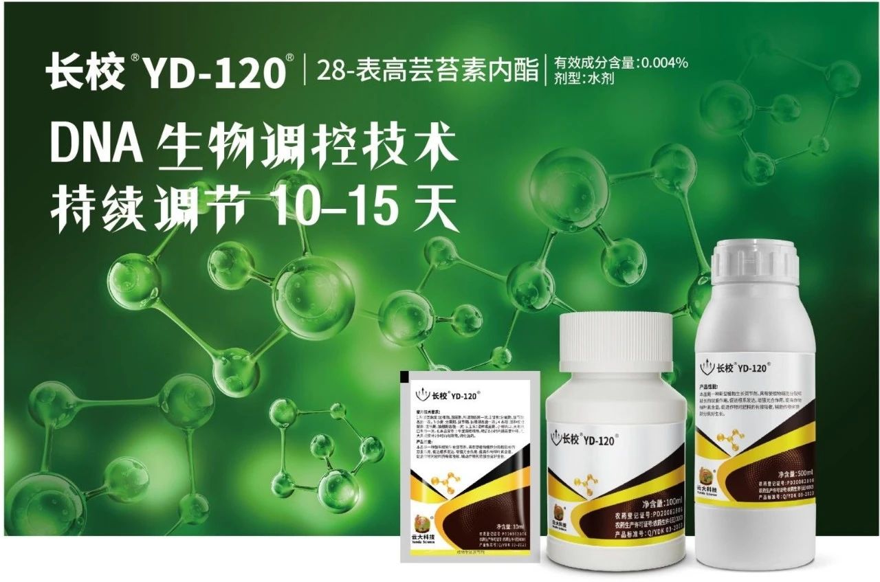 王者歸來,，云大科技開創(chuàng)百億元新賽道！
