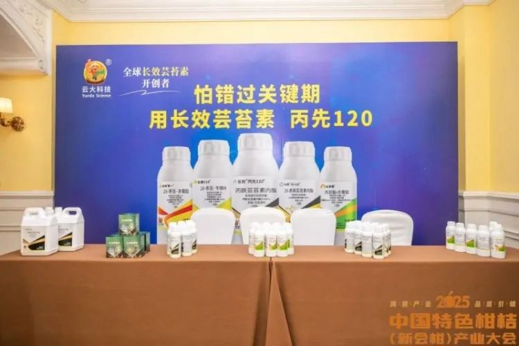 王者歸來,，云大科技開創(chuàng)百億元新賽道,！