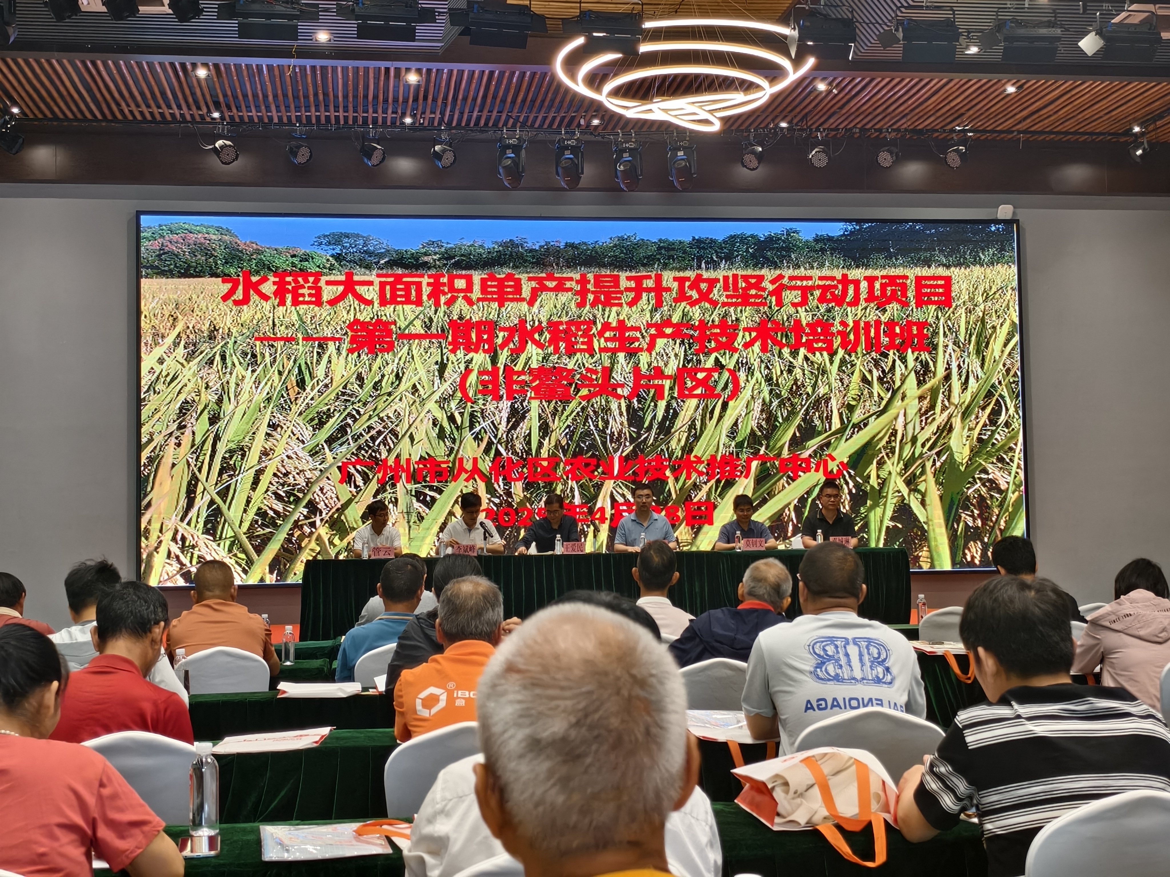 广州市从化区举办水稻大面积单产提升攻坚行动培训班