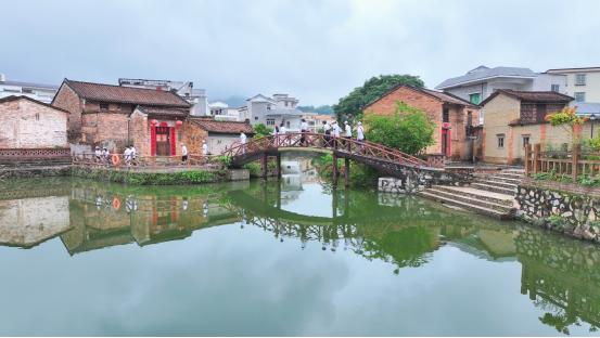 荔枝红娘牵线“青年新农人”！德庆解锁荔枝营销新玩法